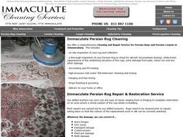 Immaculate Cleaning Services